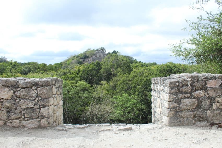 A bird's-eye view of Calakmul's main pyramid, off in the distance.