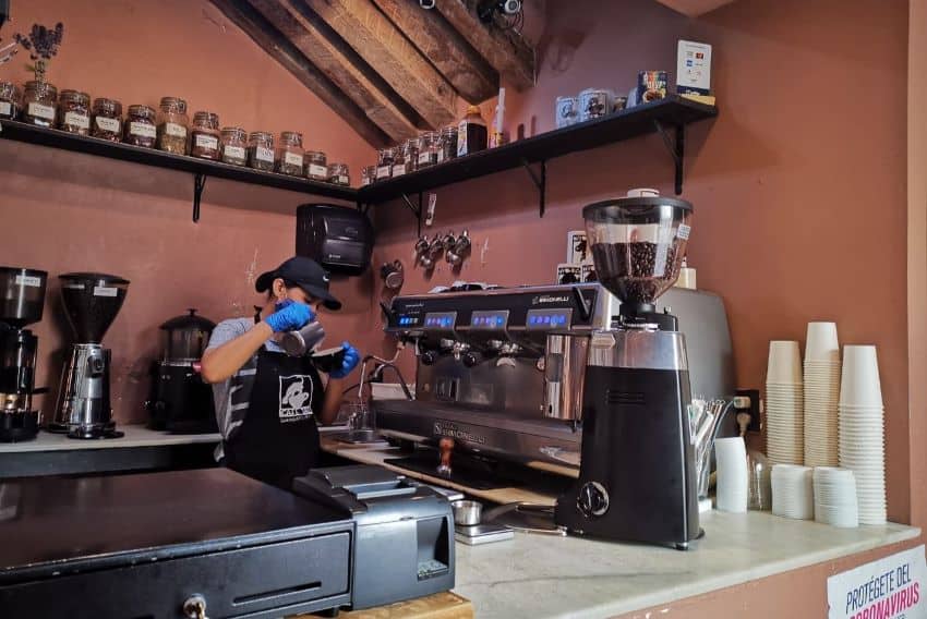 Barista at Cafe Tal Guanajuato