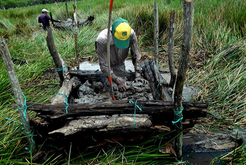 Constructing a mini chinampa