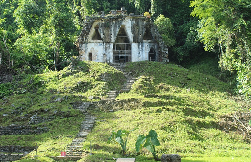 The Temple of the Foliated Cross