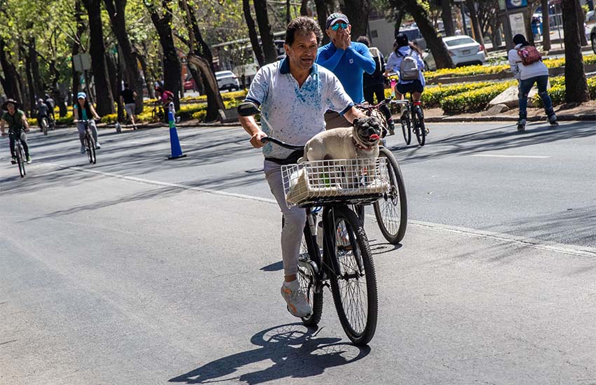 Man on Reforma Avenue, Mexico City