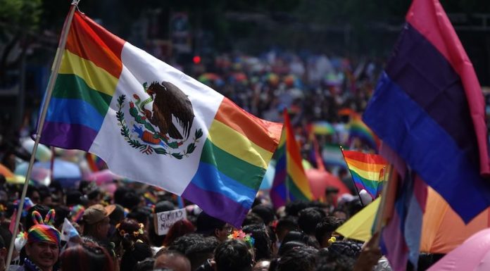 A flag flies at the 2024 Mexico City pride parade