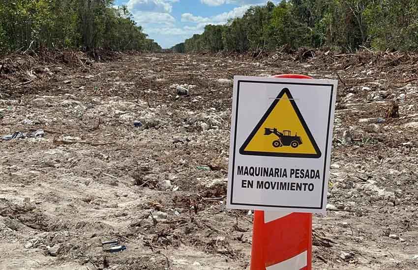 Clearcutting for Maya Train near Playa del Carmen