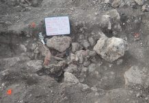 An impressive amount of archaeological findings have been uncovered near Section 7 of the Maya Train, which runs between Chetumal, Quintana Roo, and Escárcega, Campeche.