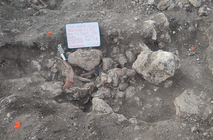 foto1 An impressive amount of archaeological findings have been uncovered near Section 7 of the Maya Train, which runs between Chetumal, Quintana Roo, and Escárcega, Campeche.