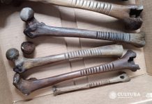 5 human bones, many of them femurs, in a cardboard box. They're among many ancient artifacts found on the island located in Lake Patzcuaro, Michoacan.