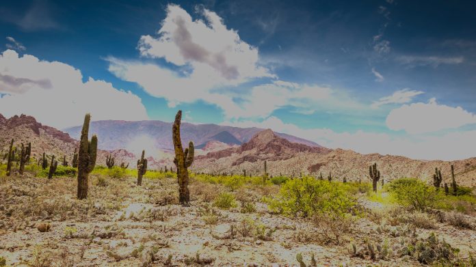 sustainability_social_850 Bacanora Lithium