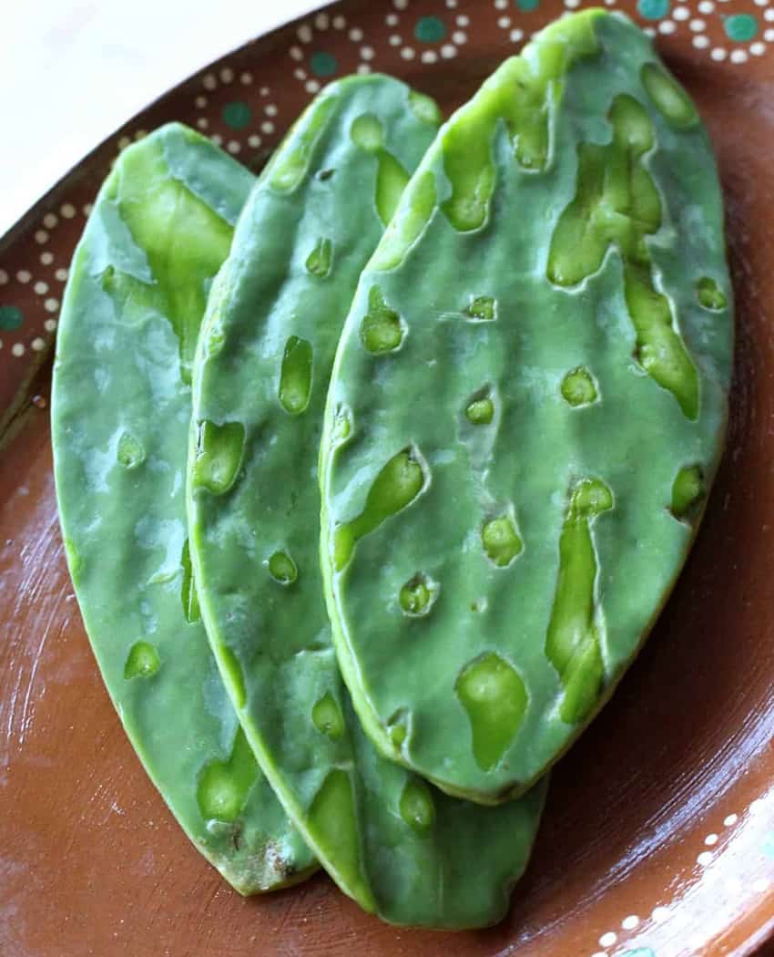 Nopal cactus